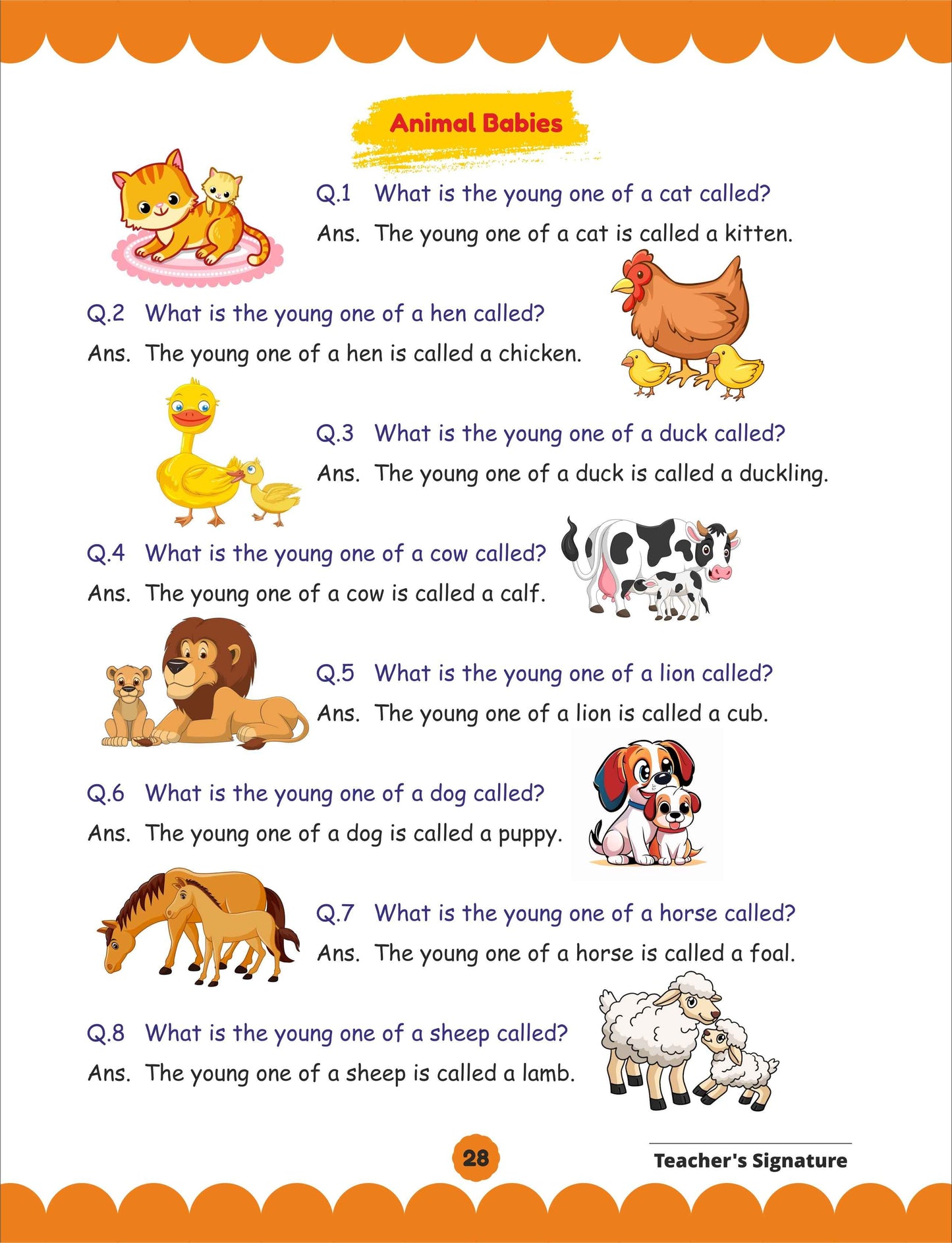 Little Explorers EVS Book for Toddlers Aged 2 to 4 Aligned with NEP & NCF