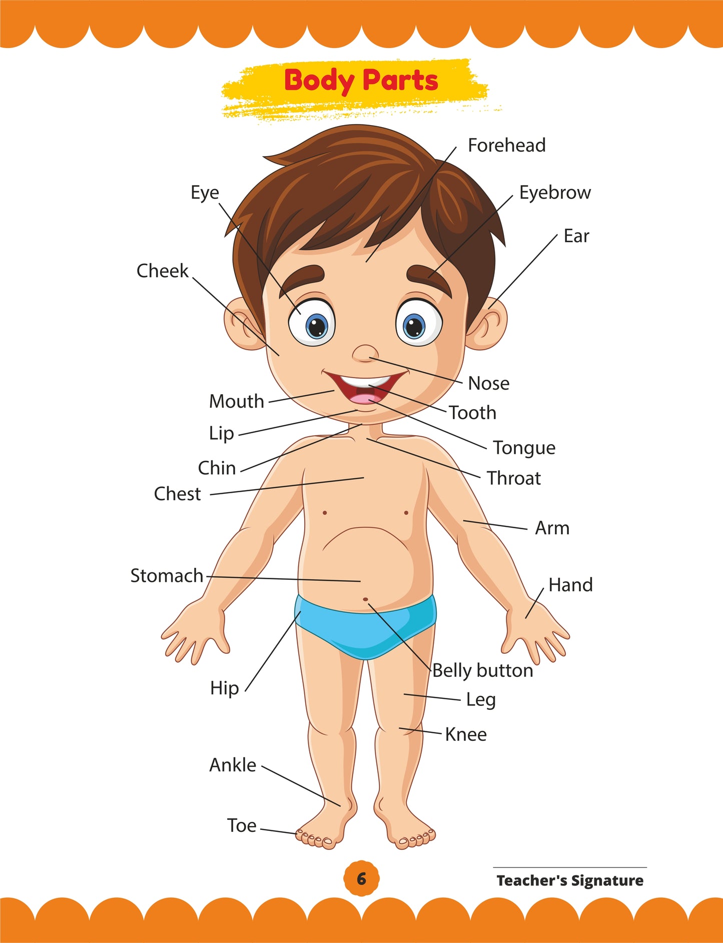 Little Explorers - A (An EVS Book for the age group of 2 to 4 years) Aligned with NEP & NCF