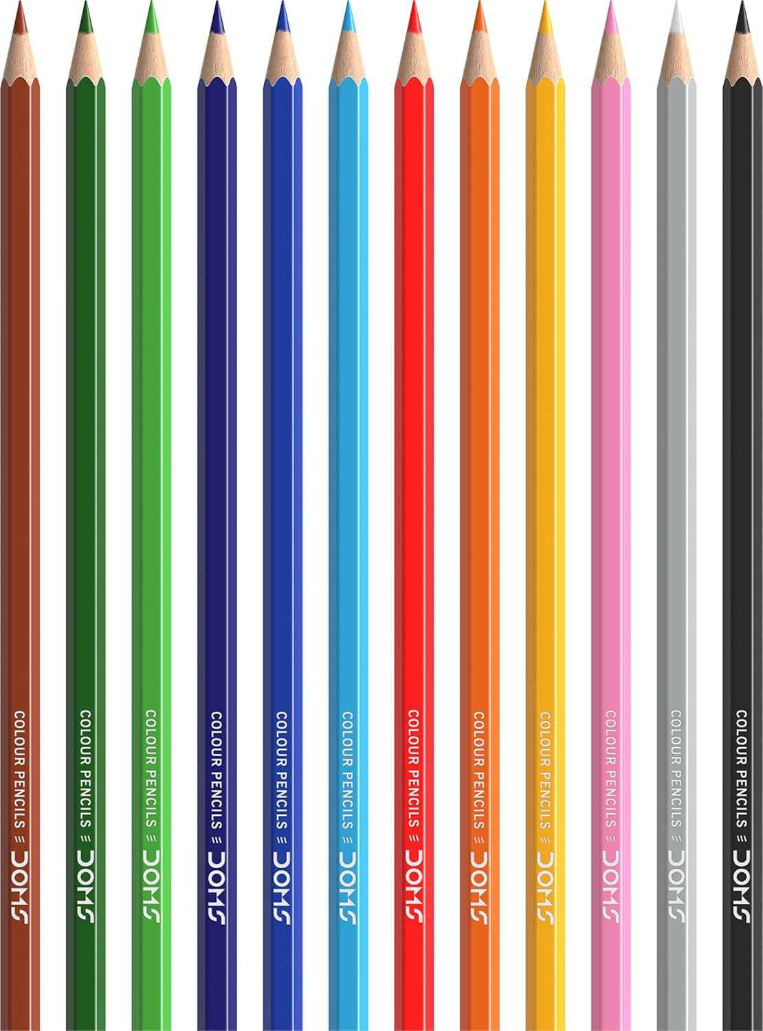 DOMS Color Pencils Flat Tin | Multicolor Set of 12 Shades